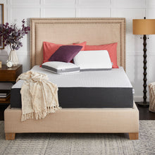 Sealy Cool & Clean 10