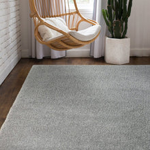 Shag Gray Area Rug