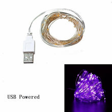 Copper Wire LED String Lights Christmas Decorations