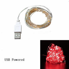 Copper Wire LED String Lights Christmas Decorations