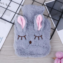 Winter Warm Heat Reusable Hand Warmer