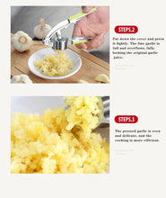 Stainless Steel Garlic Press Crusher