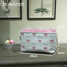 Dinosaur Swan Baby Laundry basket