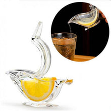 Transparent Fruit Juicer