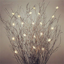 Copper Wire LED String light